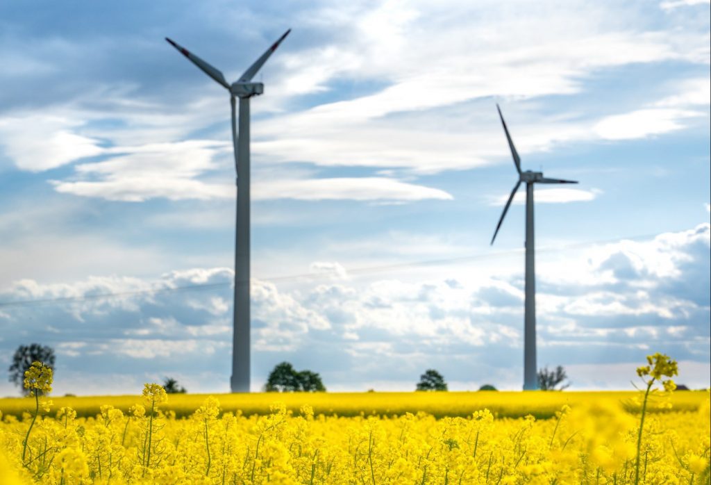 Turbina_viatrowa_videospace, Sustainability dla firm