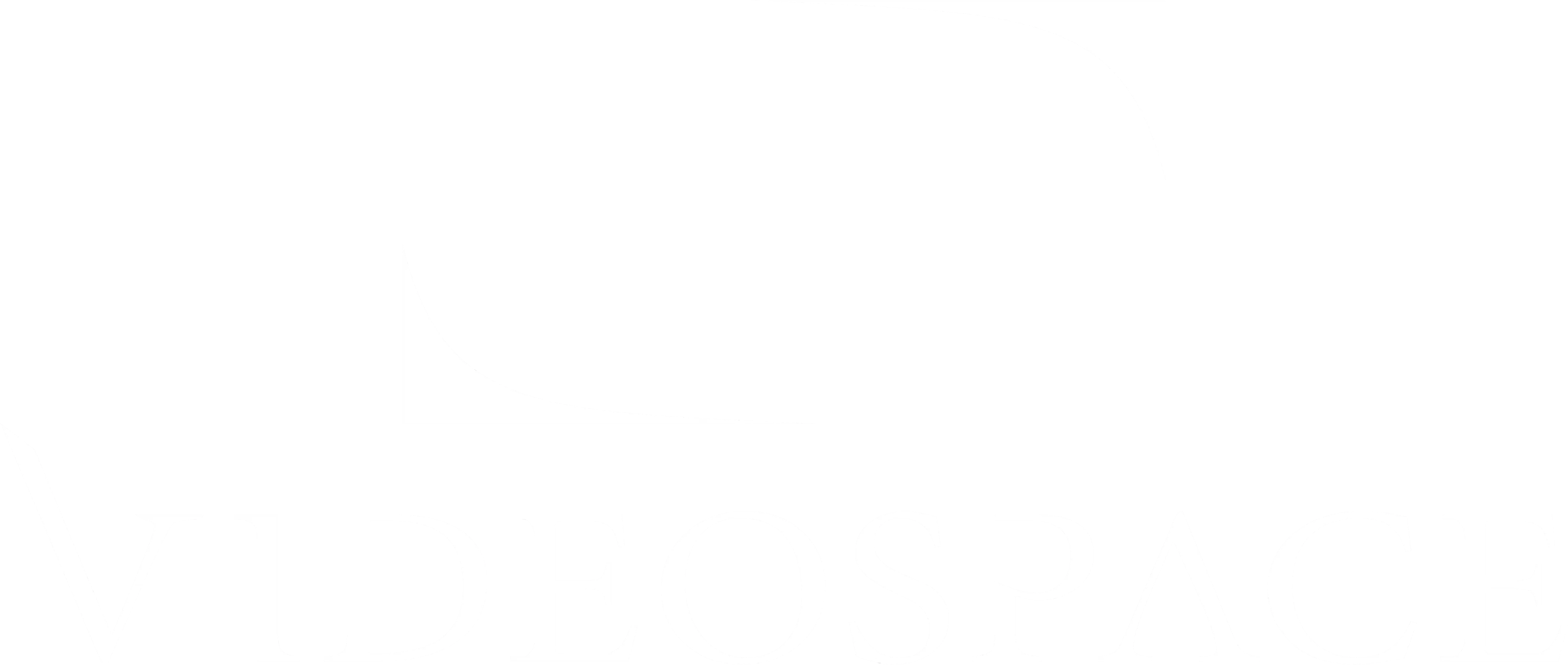 VIDEOSPACE