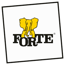 forte_logo_videospace